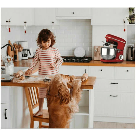 Impastatrice Planetaria 1900W 6,5L 6 Velocita' 3 Accessori Inclusi Testata Ghisa 3 Impastatrice Planetaria 1900W 6,5L 6 Velocita' 3 Accessori Inclusi Testata Ghisa - immagine 3