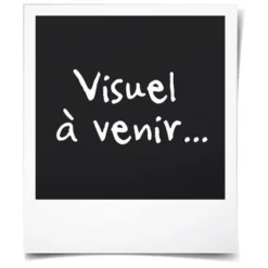 CONTINENTAL EDISON CF12PB CAFETIERE FILTRE PROGRAMMABLE - NOIR 6 CONTINENTAL EDISON CF12PB CAFETIERE FILTRE PROGRAMMABLE - NOIR -Moulinex Negozio 69123049 3