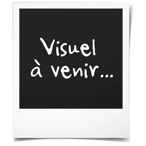 CONTINENTAL EDISON CF12PB CAFETIERE FILTRE PROGRAMMABLE - NOIR 3 CONTINENTAL EDISON CF12PB CAFETIERE FILTRE PROGRAMMABLE - NOIR - immagine 3