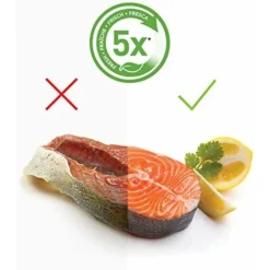 FoodSaver VS1191X Macchina Per Sottovuoto Alimenti Compatta, 5 Sacchetti Pretagliati Da 946 Ml, 1 Rotolo Da 3 M, Tubo Aspirazione Aria Da Contenitori E Accessori, Argento/Bianco -Moulinex Negozio 70712248 3